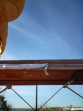 bellapaty online show from March 30, 8:04 am