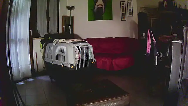 Sabrina-Palermo online show from January 6, 12:31 pm