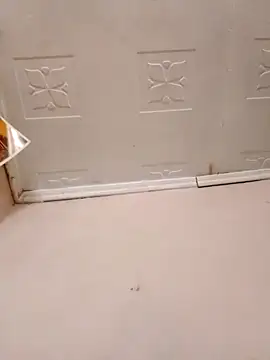 pretty-donna online show from October 21, 4:57 am