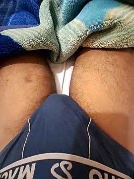 ANIMEL 2 online show from October 10, 4:22 am