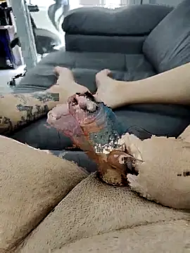 Snapshot of pete_97 chatting on September 21, 3:02 pm pete 97 online show from September 21, 3:02 pm