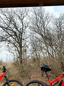 Snapshot of petrouchkaaa_ chatting on March 2, 9:38 am petrouchkaaa online show from March 2, 9:38 am