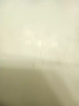 Snapshot of Masternasty chatting on November 25, 6:46 am Masternasty online show from November 25, 6:46 am