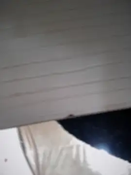 lilian prada online show from April 12, 4:34 pm