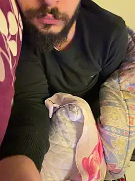 Snapshot of BigEgyptianDiick chatting on February 11, 12:26 am BigEgyptianDiick online show from February 11, 12:26 am