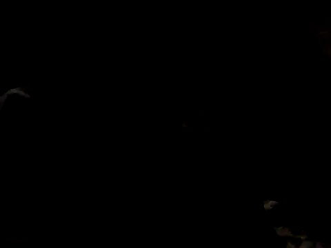 Nawtyslaveteen online show from November 24, 8:30 pm