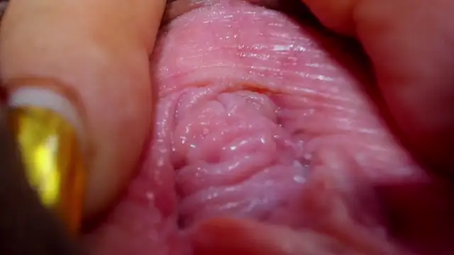 Snapshot of tatiana_big_ass_boobs chatting on February 26, 12:38 am tatiana big ass boobs online show from February 26, 12:38 am