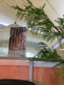 Snapshot of Emilia_Bakerr chatting on December 15, 9:31 pm Emilia Bakerr online show from December 15, 9:31 pm