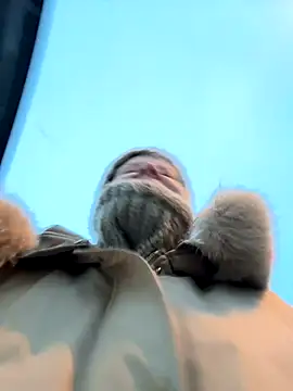 LikaCat online show from November 12, 1:50 am