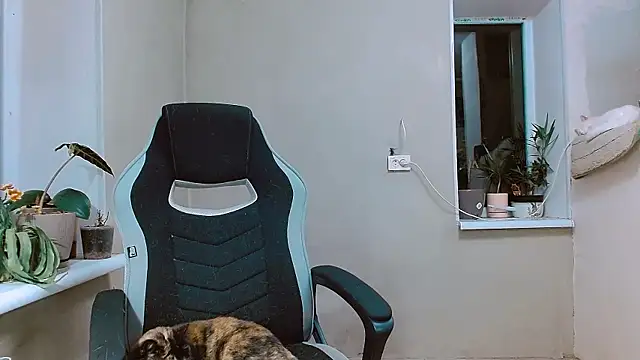 RosaJil online show from November 1, 3:58 pm