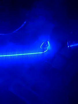 Followthepiper online show from November 25, 2:06 pm