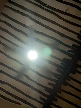 Snapshot of petiteebony_81 chatting on November 26, 6:31 pm petiteebony 81 online show from November 26, 6:31 pm