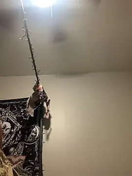 KittyLoroi online show from November 8, 9:20 am