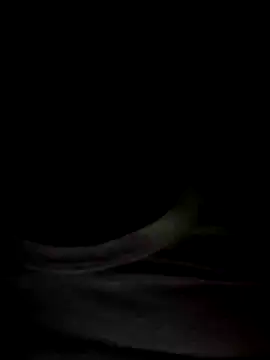 Snapshot of Mr_Perfect_Man chatting on January 8, 11:09 pm Mr Perfect Man online show from January 8, 11:09 pm