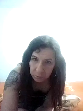 Cameron puppy online show from February 1, 9:21 am