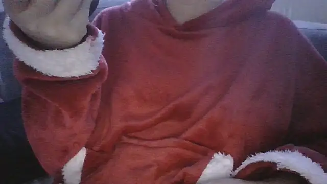 DragoneSFR online show from January 14, 4:12 pm