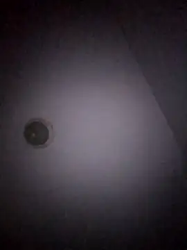 Treemandude online show from January 15, 11:04 am