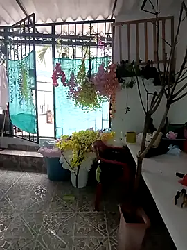 dakota johnson10 online show from December 3, 4:49 pm