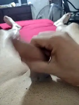 quierodarleche69 online show from February 16, 3:02 am