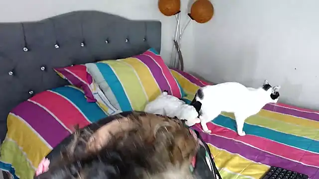 Snapshot of Chantal_hott chatting on October 18, 11:16 pm Chantal hott online show from October 18, 11:16 pm