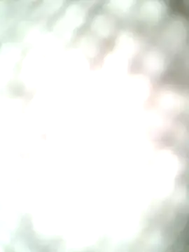 molozeb online show from October 12, 11:42 am