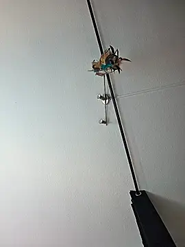 Snapshot of dieGeile0411 chatting on October 24, 9:49 am dieGeile0411 online show from October 24, 9:49 am