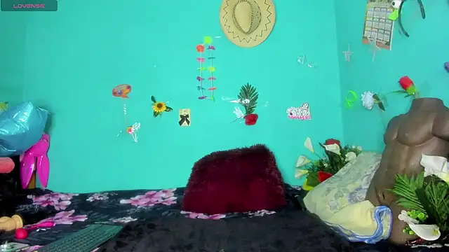 Snapshot of SheraHadee chatting on February 28, 8:15 am SheraHadee online show from February 28, 8:15 am