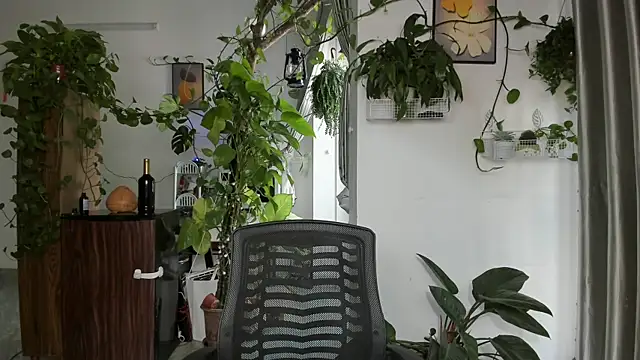 Oliver Nl online show from January 7, 4:48 am