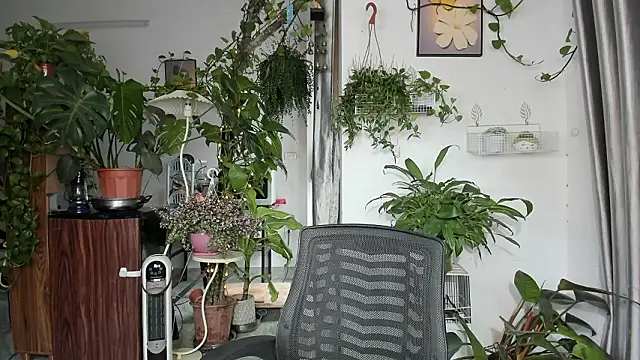 Oliver Nl online show from March 14, 5:24 am