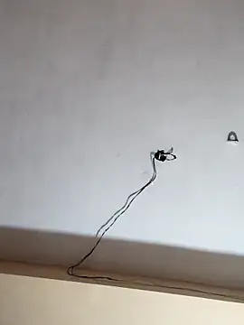 Luv Adite20 online show from November 13, 2:16 pm