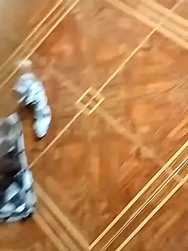 Snapshot of socrathes chatting on February 26, 12:26 pm socrathes online show from February 26, 12:26 pm