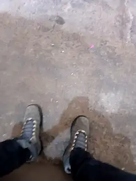 braza66 online show from November 28, 2:20 pm