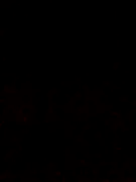 Adee21e online show from October 12, 6:51 pm