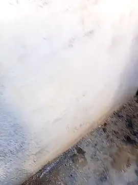 rau 4455 online show from November 5, 11:10 am