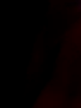 rau 4455 online show from November 7, 12:05 pm