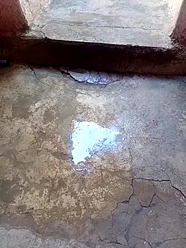 rau 4455 online show from November 24, 9:31 am