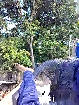 Snapshot of ErRakesh1 chatting on November 10, 5:28 am ErRakesh1 online show from November 10, 5:28 am