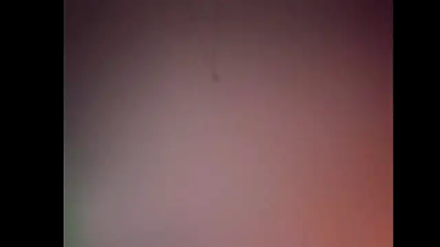 Pegg-fist-me online show from November 28, 12:02 am