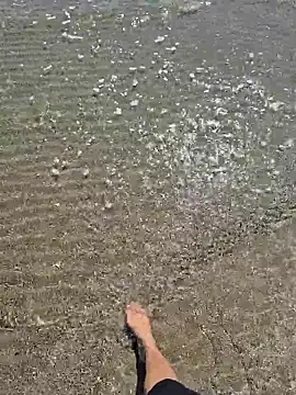 SexyErola27 online show from March 24, 12:32 pm