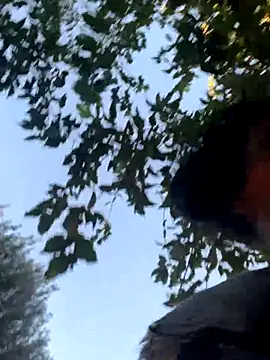 starrynikki online show from October 24, 2:24 pm