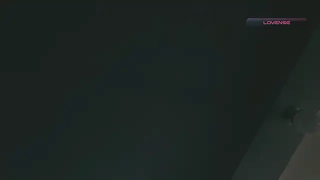 Snapshot of SilvaBranko chatting on February 17, 3:08 pm SilvaBranko online show from February 17, 3:08 pm