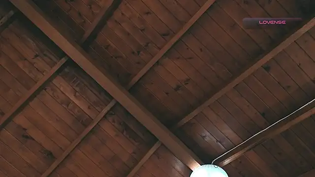 Snapshot of SilvaBranko chatting on March 2, 12:02 am SilvaBranko online show from March 2, 12:02 am