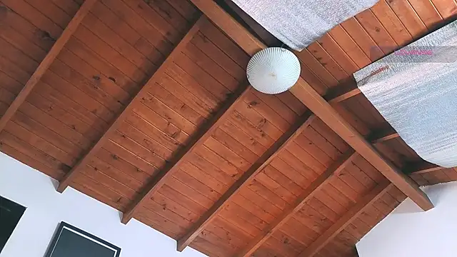 SilvaBranko online show from March 14, 8:03 pm