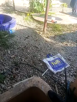 Snapshot of CuchiCuchi chatting on September 12, 9:04 pm CuchiCuchi online show from September 12, 9:04 pm