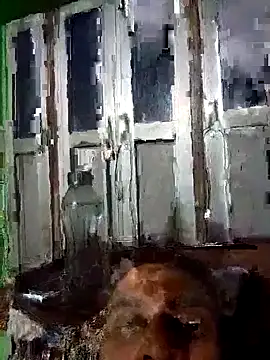 Snapshot of Nkumar173 chatting on October 21, 4:41 pm Nkumar173 online show from October 21, 4:41 pm