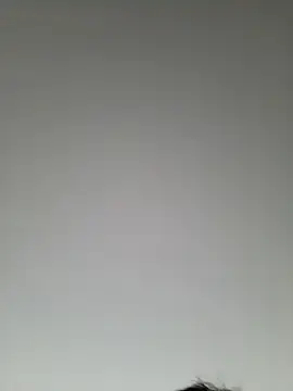 high andlow420 online show from March 8, 12:41 pm