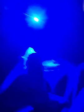 Snapshot of prcalek19 chatting on November 20, 7:46 pm prcalek19 online show from November 20, 7:46 pm