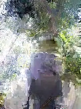 Javan  online show from February 4, 11:05 am