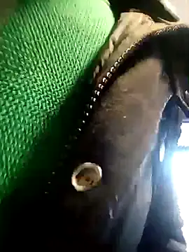 Snapshot of BZHsex chatting on March 9, 5:28 pm BZHsex online show from March 9, 5:28 pm