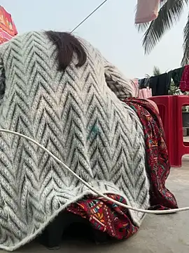 Ishikarana online show from January 6, 9:24 am